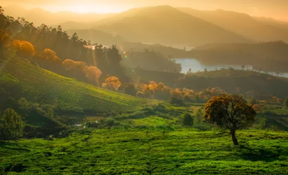 ooty